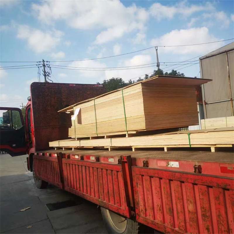 内蒙古锡林郭勒盟西乌珠穆沁旗至塔城货运专线，一站式物流服务助您成功